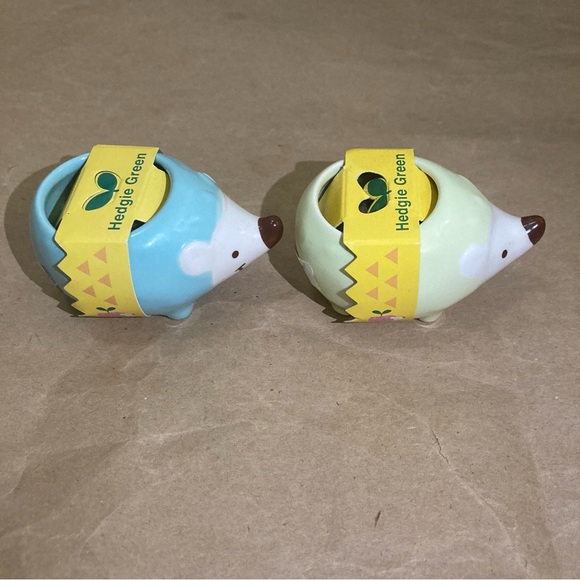 2 x hedgie plants - Picture 5 of 6